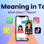 FT Meaning in Text