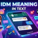 IDM meaning in text