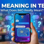 IMO Meaning in text
