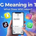 WSG Meaning in Text