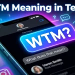 WTM Meaning in text