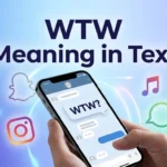 WTW Meaning in text