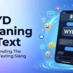 WYD Meaning in text
