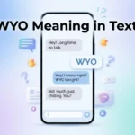 WYO Meaning in text