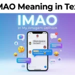 IMAO Meaning in Text