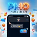 PMO Meaning in Text