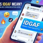IDGAF Meaning in Text