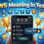 WS Meaning in Text